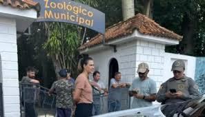 Homem invade zoológico e mata animal no RS  