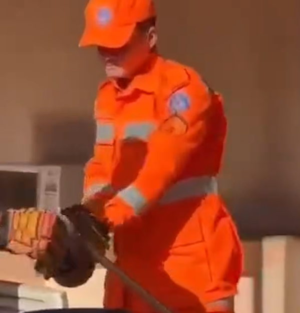 Jiboia se enrola no braço de bombeiro durante resgate em MG. Vídeo