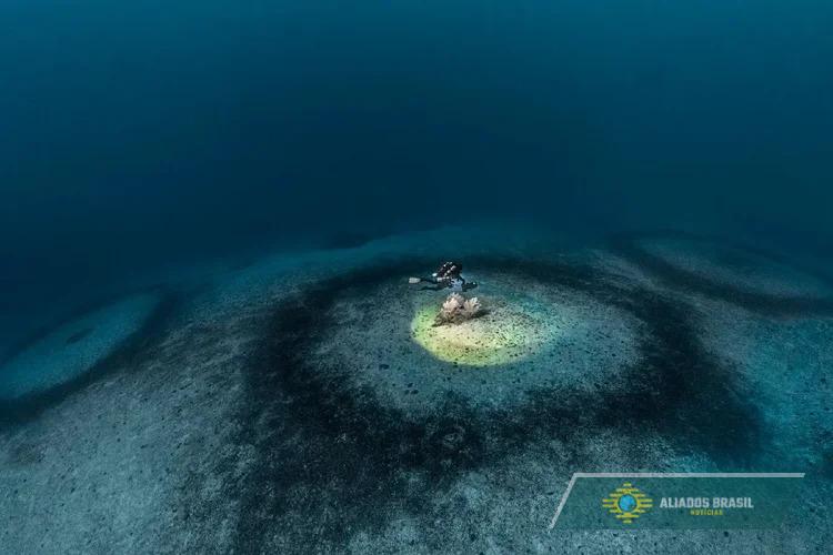 Mergulhadores encontram mais de 1.400 círculos gigantes no fundo do Mediterrâneo