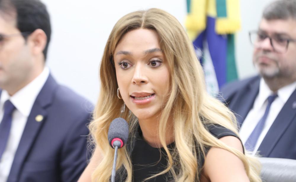 ONG de mulheres processa Erika Hilton por postagem ofensiva