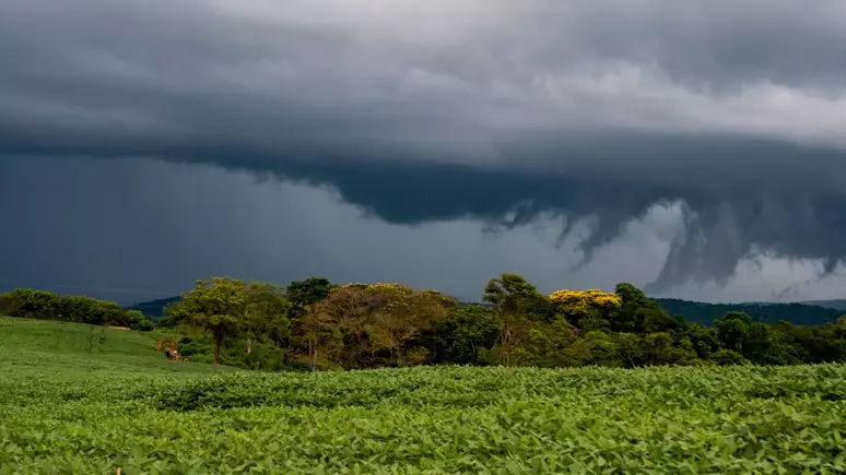 Por que o Paraná se tornou um ‘corredor de tornados’? Conheça os casos mais graves  