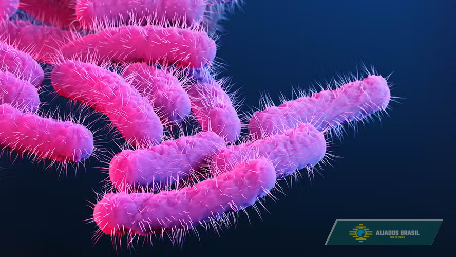 'Superbactéria' altamente contagiosa transmitida por sexo tem alta de casos no Reino Unido; entenda