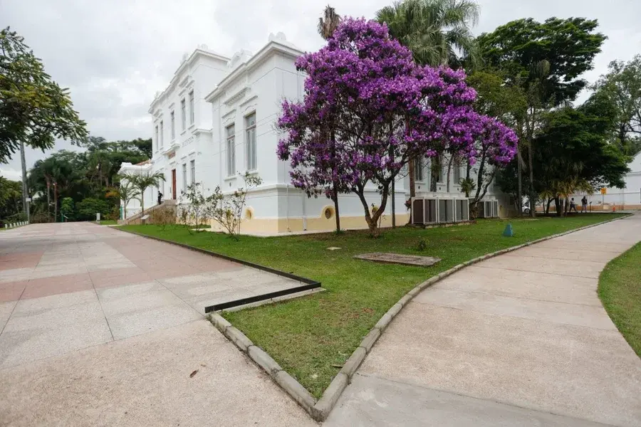 Vizinhos reclamam de barulho do Instituto Butantan: “Não durmo”