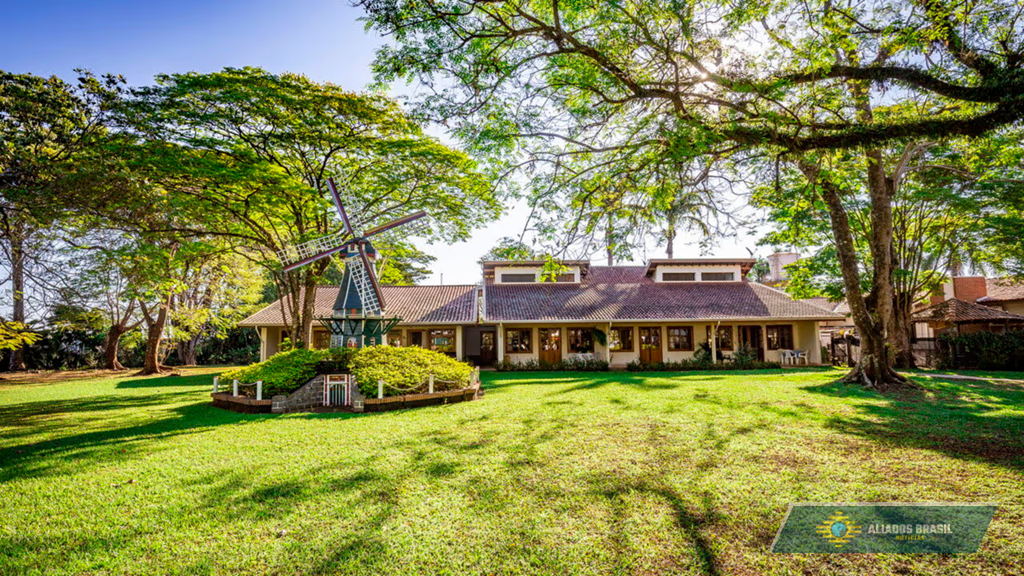 500 famílias holandesas fundaram uma cidade com moinhos e tulipas no interior de São Paulo que abriga uma vida com segurança e qualidade de vida europeia