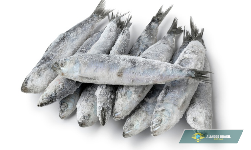 Anvisa manda recolher lote de sardinha por contaminação por salmonela; veja qual não deve ser consumido