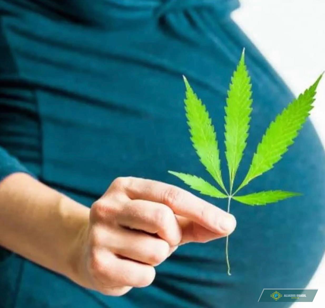 Brasil ainda conservador? Levantamento mostra rejeição a aborto e drogas