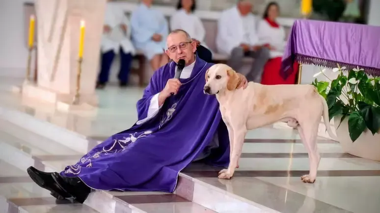 Cachorro caramelo passa a frequentar missas, vira ‘fiel’ e conquista padre no Paraná: ‘Ele fica ali escutando’ 