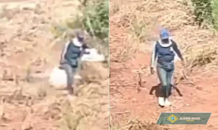 Enteada é presa por tentar matar madrasta de 68 anos em MS; marido da vítima chegou a ser detido por engano