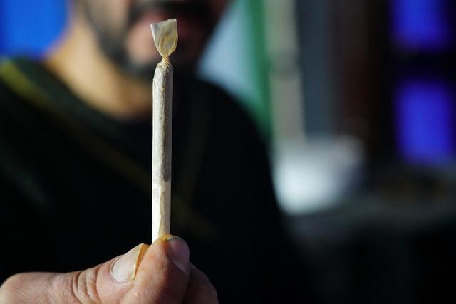 Estudo revela o que acontece com o cérebro de jovens que usam maconha (e o resultado preocupa)