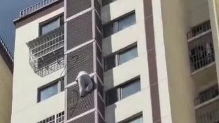 Idosa de 89 anos desce 6 andares por fora de prédio após ficar presa no próprio quarto