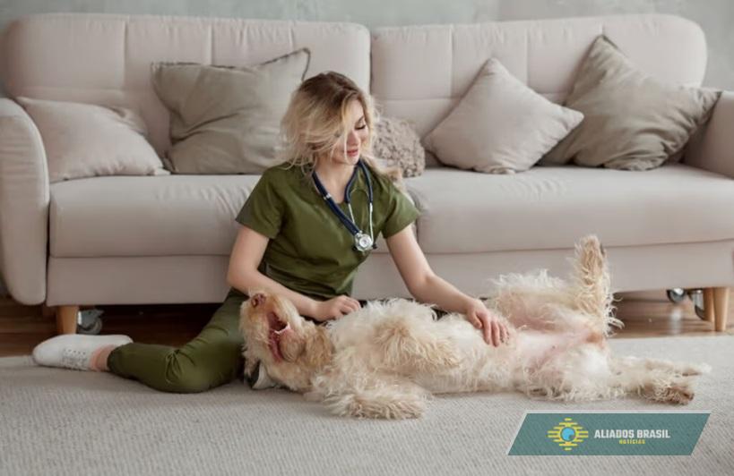 Osso para cachorro: 5 perigos do alimento para o animal