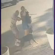 Pitbull sem coleira ataca mulher e porteiro fica ferido na Tijuca