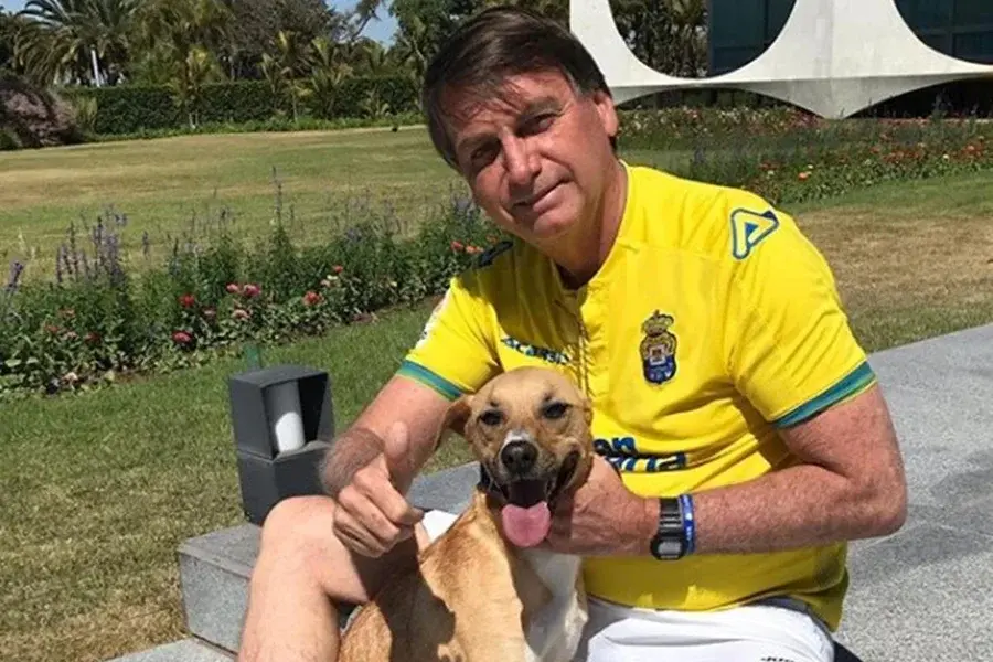 PMs são mordidos por cão caramelo de Bolsonaro durante guarda de prisão domiciliar