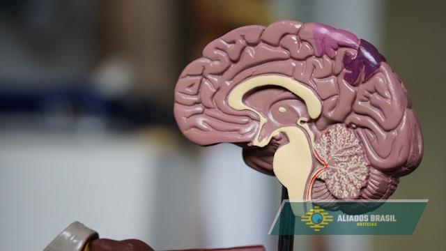 Risco de demência aumenta com tipo de alimento comum consumido por milhões, sugere estudo