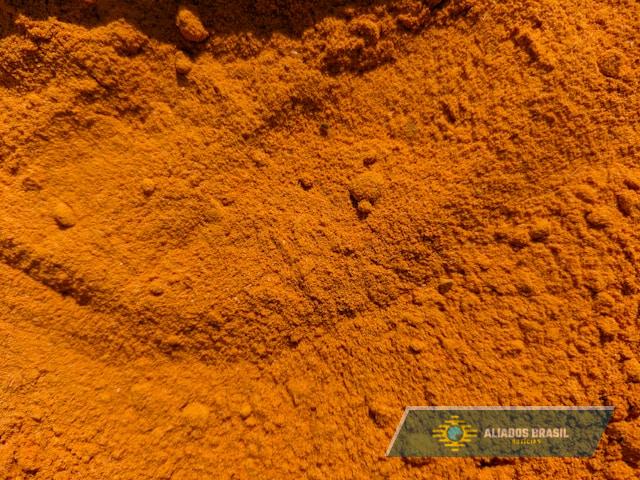 Anvisa determina recolhimento de canela em pó após encontrar pelo de roedor; veja a marca