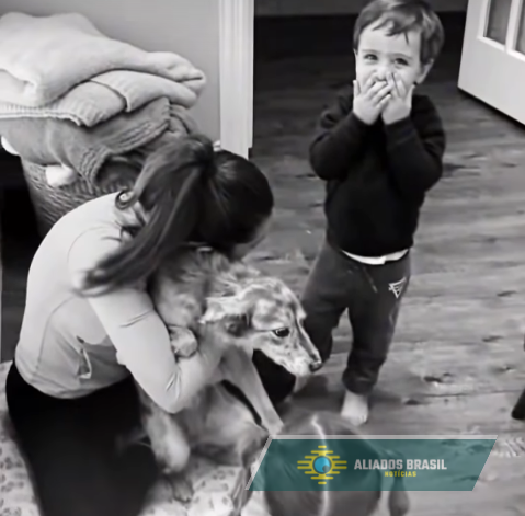 Eduardo Bolsonaro comemora reencontro com cachorrinha após um ano; VEJA VÍDEO: