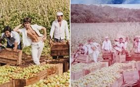 Foto de Leandro e Leonardo com o pai em fazenda de tomate comove fãs em Goiás
