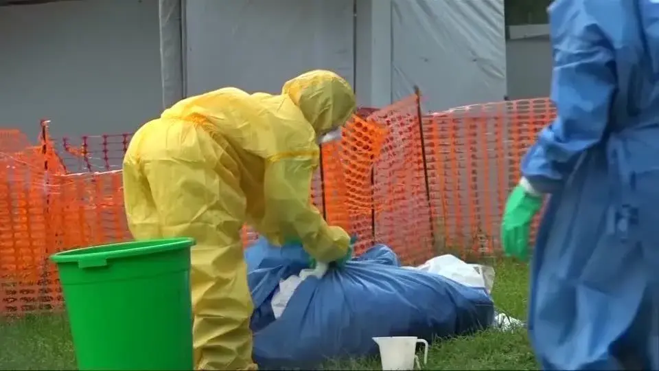 OMS declara surto de Ebola em países africanos emergência de saúde global