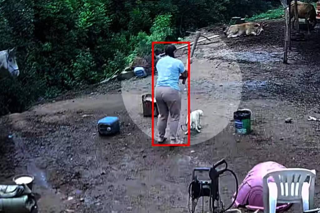 Polícia prende mulher suspeita de matar cachorro com picareta