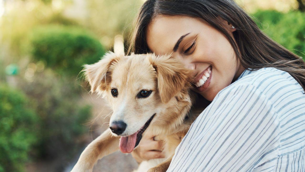 Quanto tempo vive um cachorro? Descubra de acordo com a raça