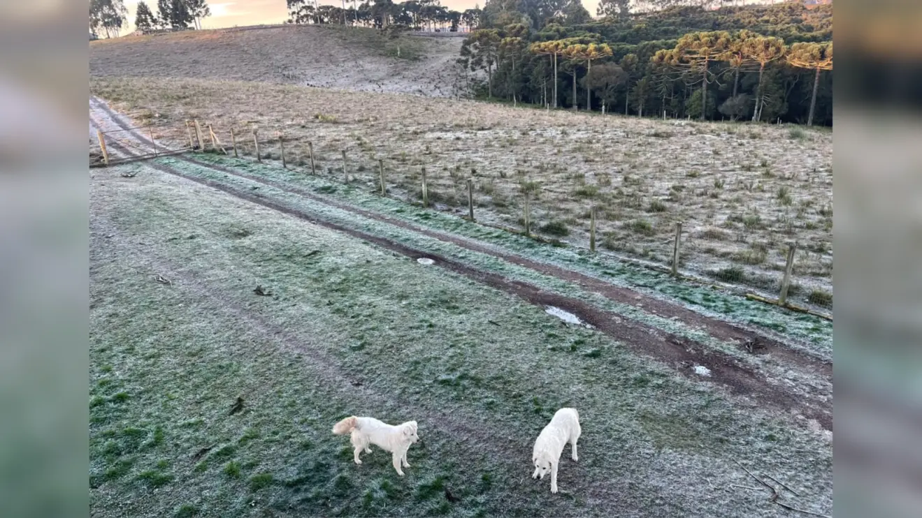 Cidades do Sul têm segundo dia de temperaturas negativas; veja locais