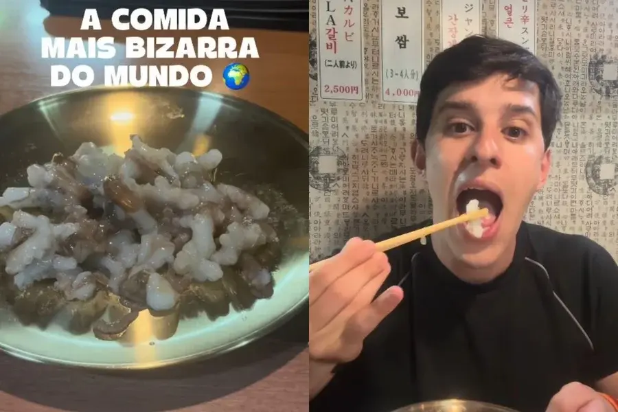 Comeria? Prato com polvo vivo divide opiniões nas redes sociais