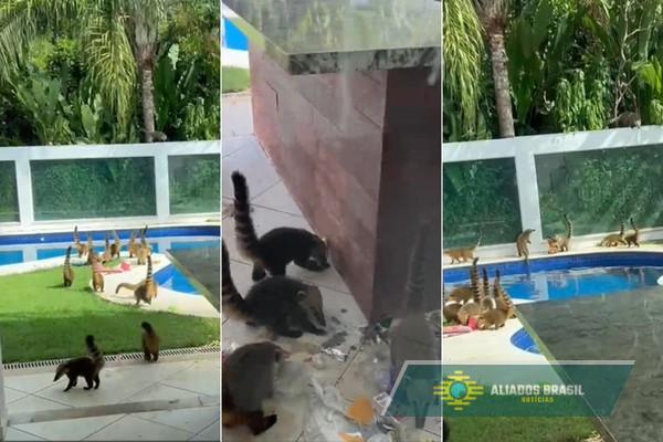 Família sai por uma hora e encontra casa destruída após visita inesperada