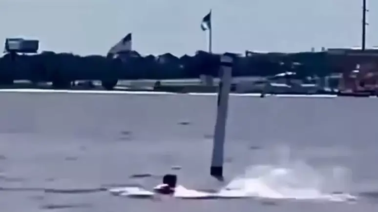 Funcionário da Marinha dos EUA é atacado por tubarão na Flórida; veja o momento 