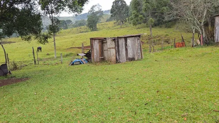 Idoso é resgatado no PR após viver 20 anos em condição análoga à escravidão