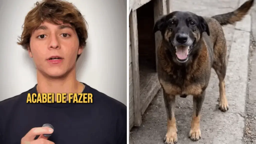 Jovem acusado de matar cão Orelha se pronuncia pela 1ª vez