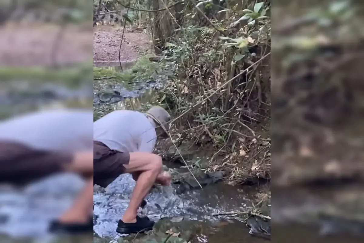 O guardião do Cerrado: aos 92 anos, ele recuperou nascentes e criou um santuário natural