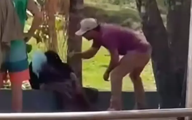 Mulher em situação de rua é hospitalizada após ser agredida por empresário em Goiás 