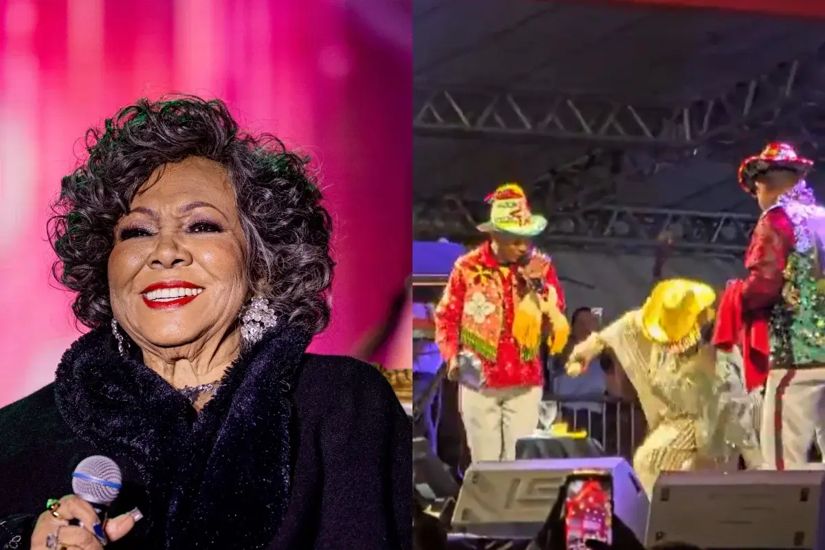 Vídeo: Alcione cai no palco durante show e assusta fãs