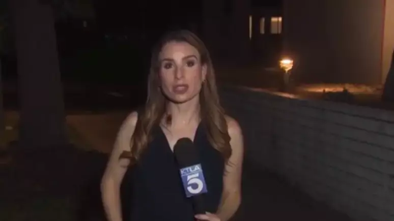 Barata voadora pousa em repórter de televisão durante entrada ao vivo