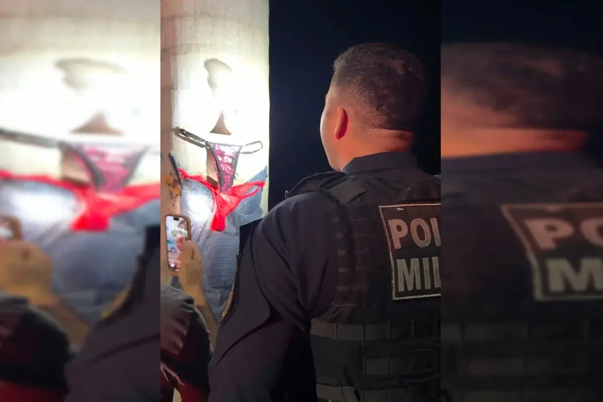 Calcinha, sutiã e mistério: polícia investiga lingeries deixadas em árvores. Veja vídeo
