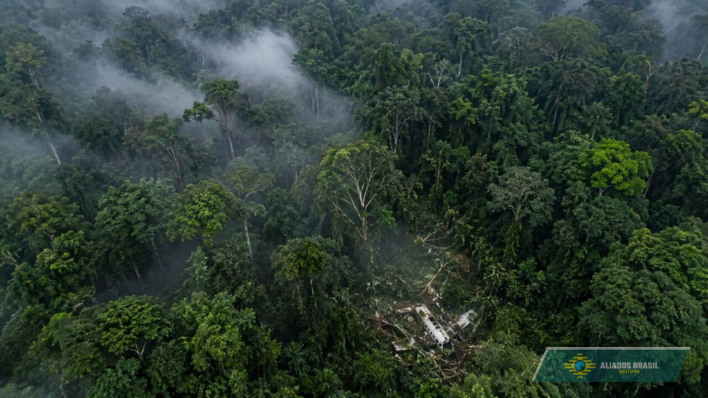 Ela caiu de um avião em pleno voo, acordou sozinha na floresta e fez o impossível para sobreviver