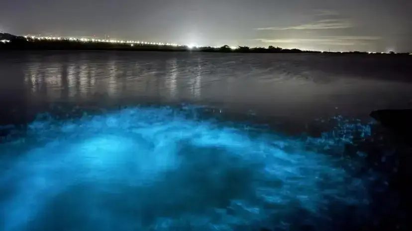Estudante registra fenômeno raro que faz mar brilhar em azul durante a noite no Ceará