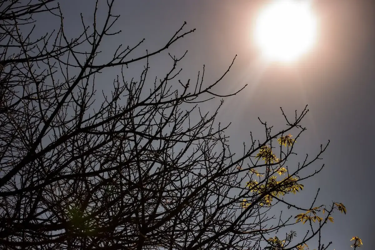 Maior do século: risco de super El Niño cresce e liga alerta no Brasil