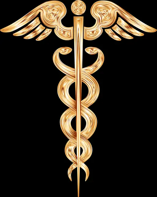 O REAL E O CADUCEU