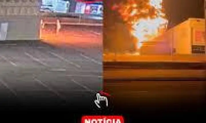 4 estátuas da Havan são alvos de ataques em diferentes estados