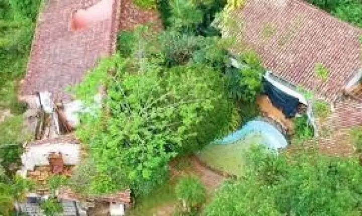 Abandonada há anos, casa de Clodovil em Ubatuba atrai caçadores de fantasmas; o que aconteceu com o imóvel?