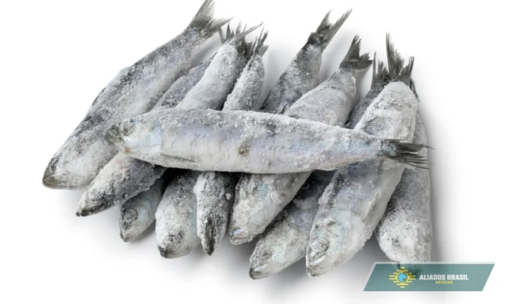 Anvisa manda recolher lote de sardinha por contaminação por salmonela; veja qual não deve ser consumido
