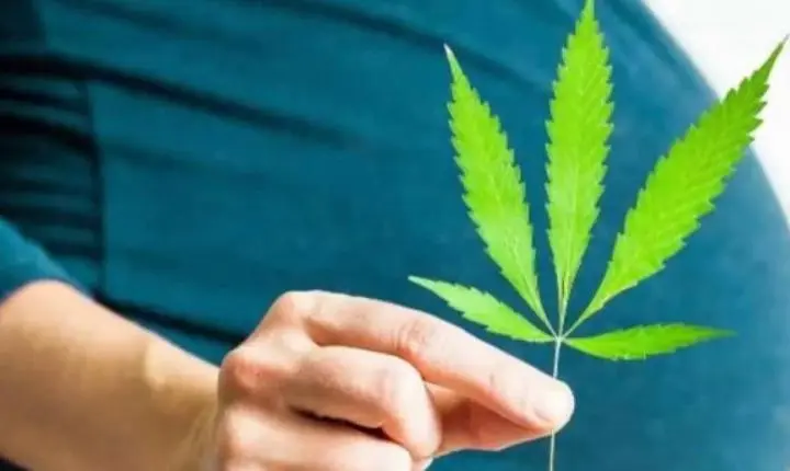 Brasil ainda conservador? Levantamento mostra rejeição a aborto e drogas