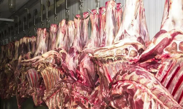 Carne bovina brasileira escapa da tarifa americana de 25% e setor respira aliviado