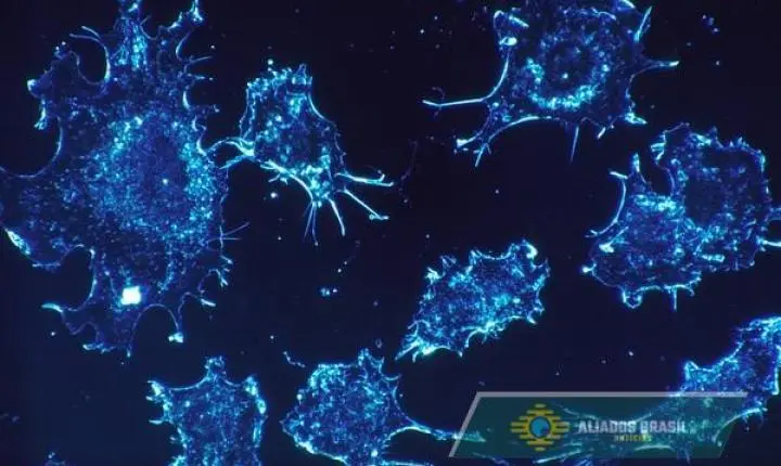 Cientistas franceses criam anticorpo que combate a resistência do câncer de pâncreas à quimioterapia 