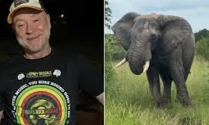 Dono de parque que dizia preferir ser morto por elefante a atirar em um morre pisoteado por elefante
