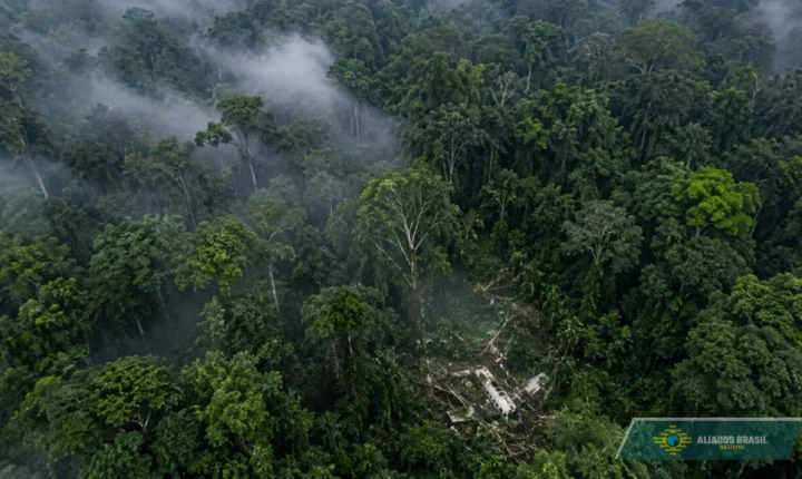Ela caiu de um avião em pleno voo, acordou sozinha na floresta e fez o impossível para sobreviver