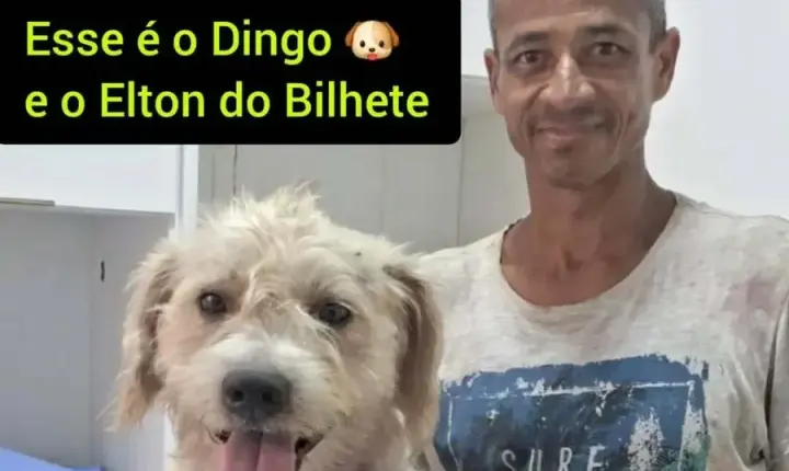 Em carta emocionante, homem em situação de rua pede ajuda para cão doente