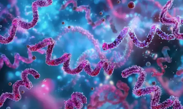 Epidemia em curso: infectologista alerta para alta de casos de sífilis