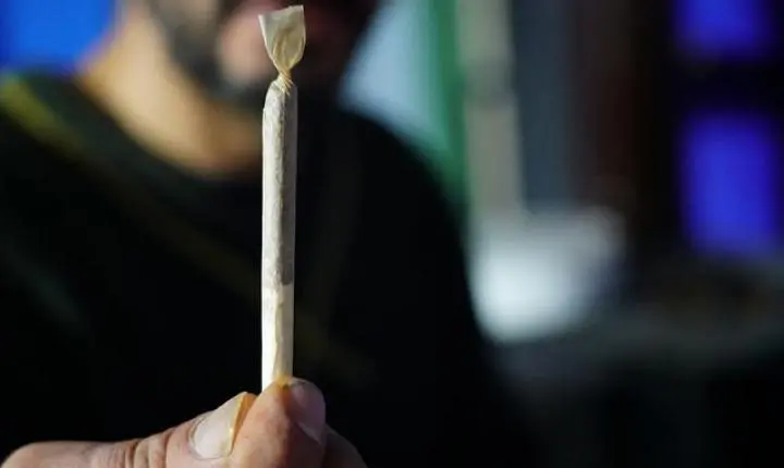 Estudo revela o que acontece com o cérebro de jovens que usam maconha (e o resultado preocupa)